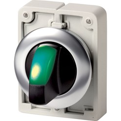 Signaalkeuzeschakelaar, 30mm, RVS, vlak, groen, 3 standen, terugverend